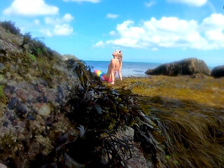 Mermaid Spotted! Wet Encounter in Lost Cove