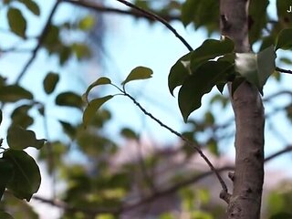 x1xC5FFE64C77318410E2