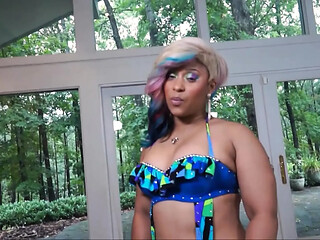 Hotty Ebony Babe Gets Nailed by Black Dude