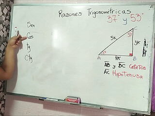 18 Trigonometry: 37 Angle - Trigonometric Ratios