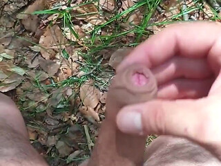 I'm Walking Through the Woods Naked. Looking for a Place to Jerk off!