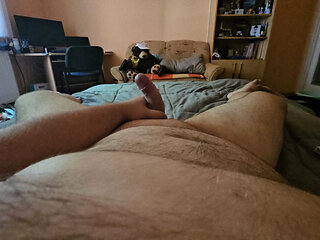 Morning wood 2