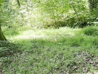 Hot Break in the Forest