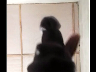 cock needs pussy