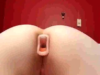 The whole day anal plugged