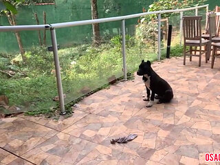 My perverted teacher put the balls in my face