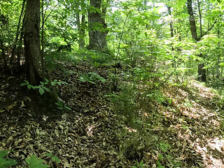 MILF catches pervert masturbating in public park, gets pissed on and