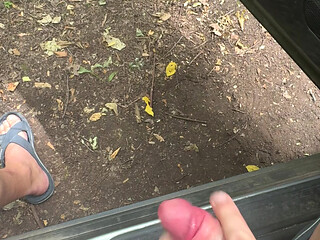 Masturbation in the forest of Phalempin