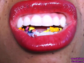 Voress Rosie's Favorite Snack (standard Definition)