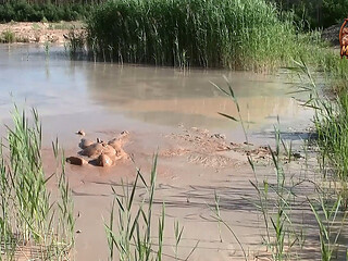 A Short Exploration of a New Mud Lake