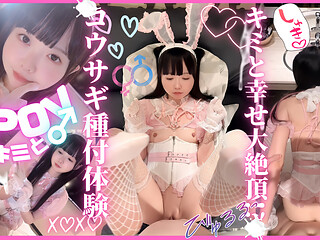 POV Immersive female rabbit breeding experience