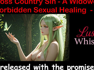 Cross Country Sin: a Widowers Sexual Healing Part 19 - English Audio Sex Story