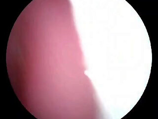 Inside a deflowered 18+ year old hairy cunt.