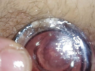 See Inside My Asshole with My Glass Butt Plug