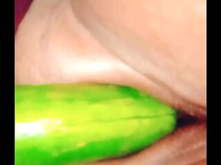 Desibhabhi sex village wife Fucking with cucumber