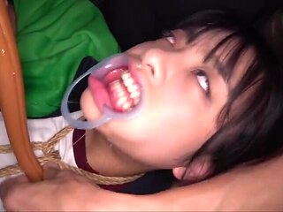 x4xB73B916108E0A85048