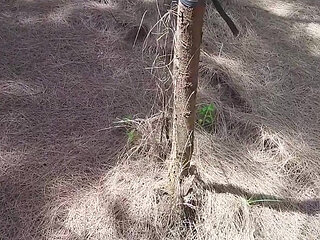 Anal in Dogy Style in Forest