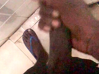 Sri Lankan Best Bull and Best Cock