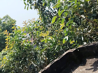 Babhu ki chudai
