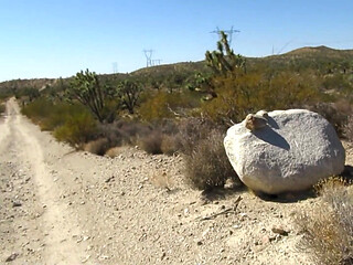 Desert Hike Jerkoff 9