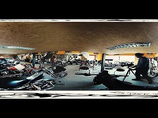 Watch wild Lady Dee's smut