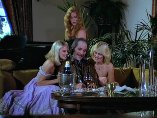 800 Fantasy Lane (us 1979 With Aubrey Nichols, Desiree Lane And Desiree Cousteau