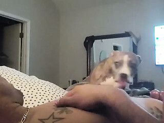 Sexy Tits swinging