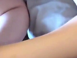 Asian Angel 24138