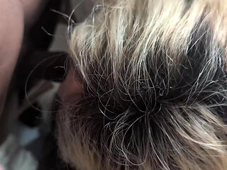 A Pretty Sissy Enjoys Herself with Two Big Black Dicks Before Drinking the Hot Sperm.