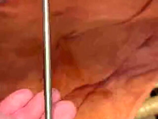 Chubby Guy Cock Sounding 3mm-4mm Small Starter Sound