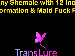 English Audio Sex Story Rich Ebony Shemale with 12 Inch Cock - Transformation & Maid Fuck - Part 3