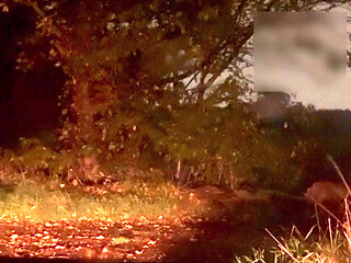 Naked outside when a car passes I hide