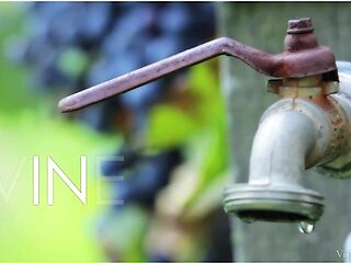 Vine Episode 1 - Blossom - Hanna Sweet & Subil Arch