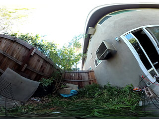 Lizzy Yum VR 2025 Edging #194