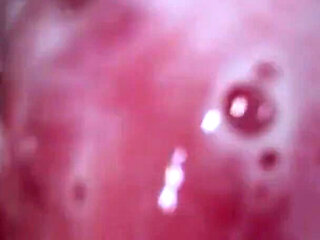 Breakfast with a Giantess