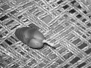 Hot Indian Gay Cumshot Compilation Video.