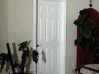 Sexual Activity Episode 2