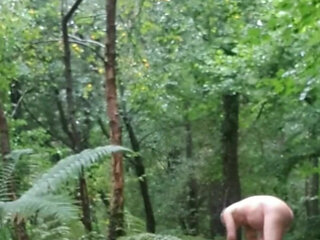 at a woodland campsite