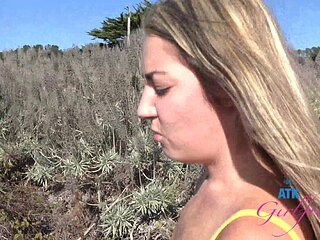 Virtual Vacation
