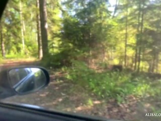 The Best Doggystyle & ?owgirl Sex Outdoor - Amateur Couple on Holidays