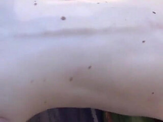 Maria Mariagummigeplatzt