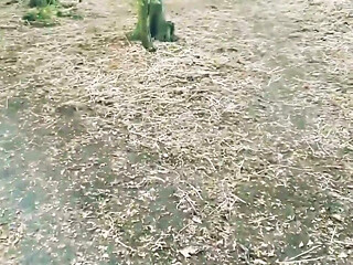 POV Naked Walk in the Woods