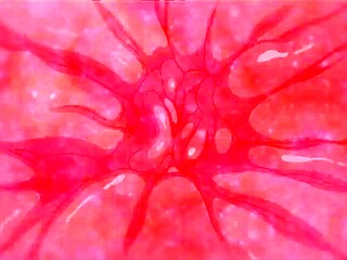 Endless Passion beyond control_170224p0010