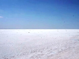 White Salt of Desert