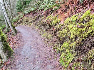Hike-n-piss on a Rainy Day