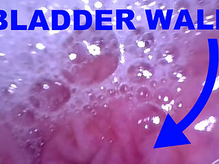 INSIDE POV: Inflating my Bladder with Air!