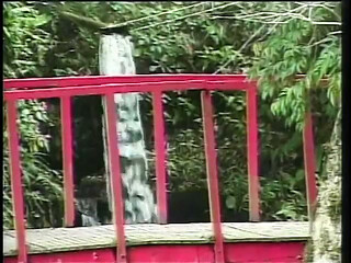 Shemale gets her ass rammed by a hot guy outdoors