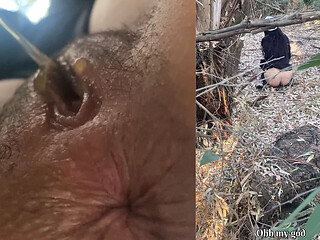 I Meet a Nice Stranger at the Forest, Such a Gentleman