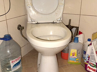 Licking Dirty Floor and Toilet, Flashing Head in It