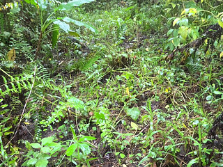 outdoor kantotan ano tara?